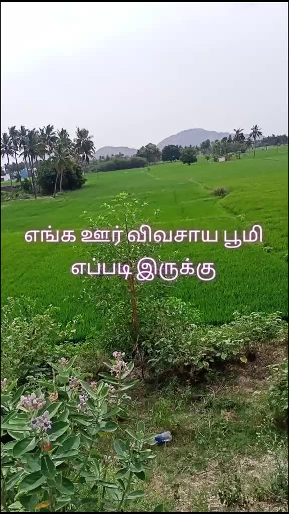 @பூபதிவிவசாயி D.EEE