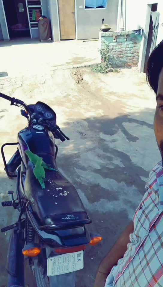 @bathinda wala bai