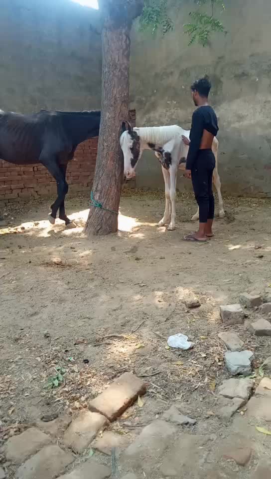 @@Amit parcha