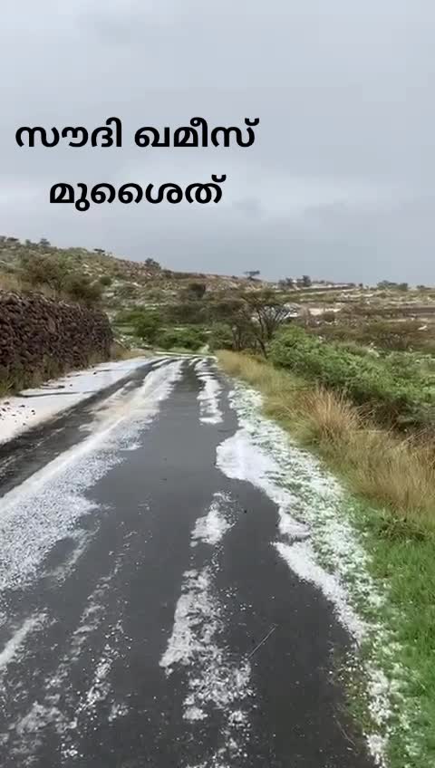 @ANoozz