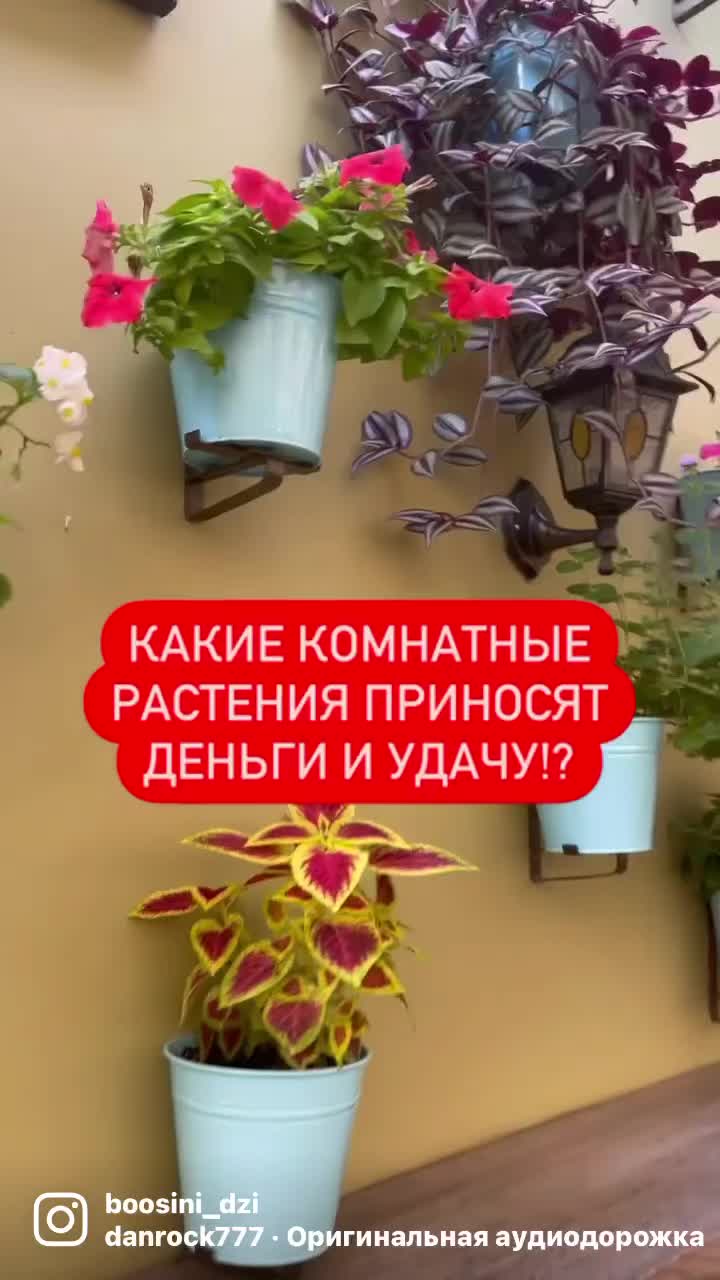 @Veronika