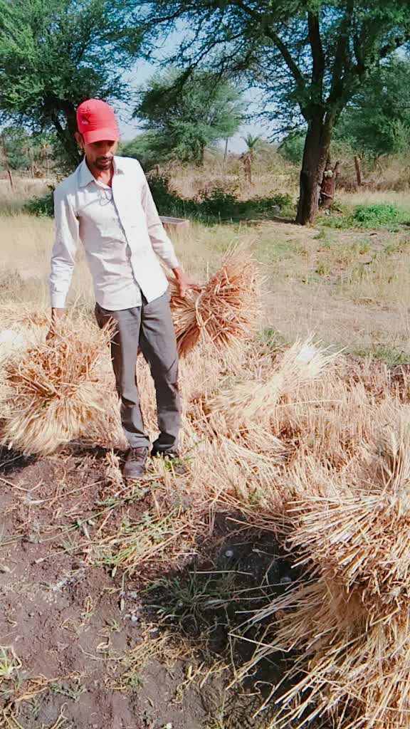 @Sachin nagda