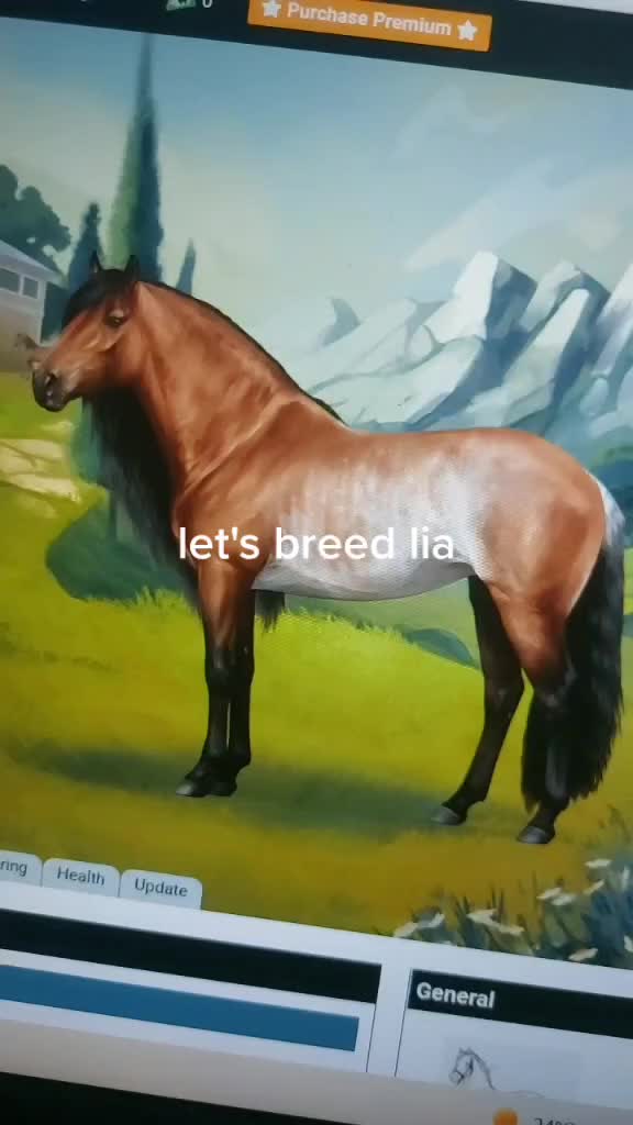 @horse reality