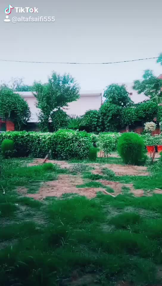 @Altaf saifi