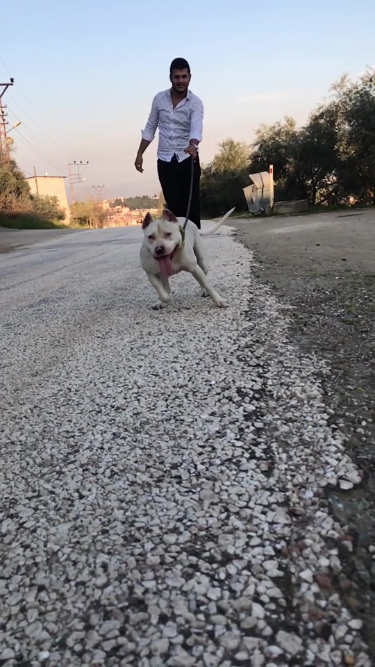 @TALAT GÜLMEN