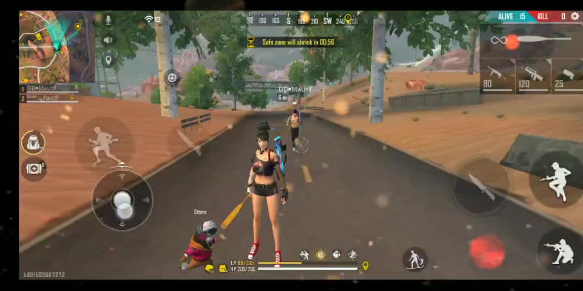 @Liza Hawk Gaming