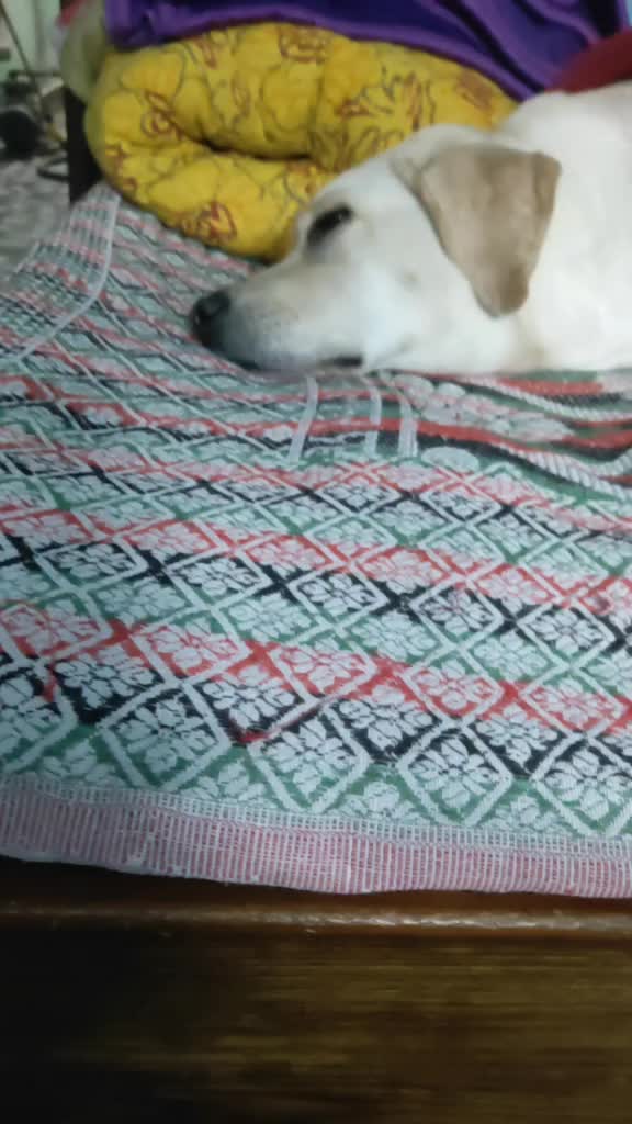@Pranav Kumar