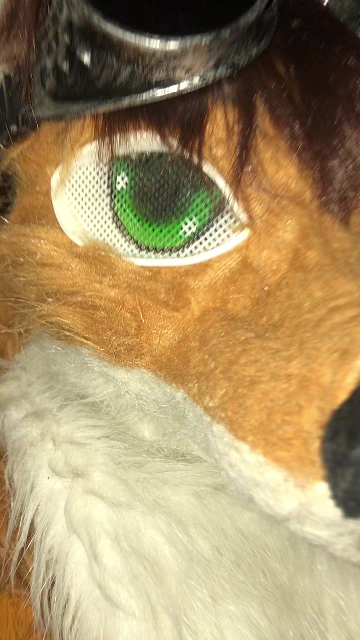@Kitsu Foxx
