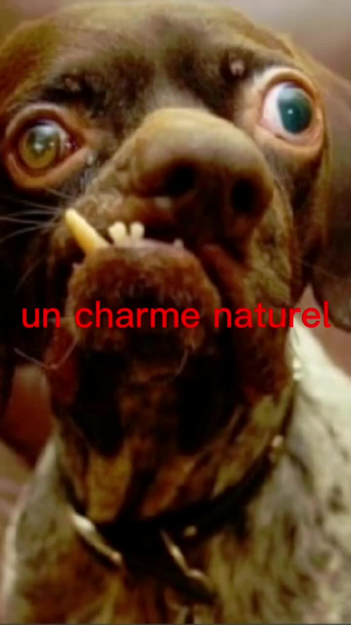 @c'est toi le best