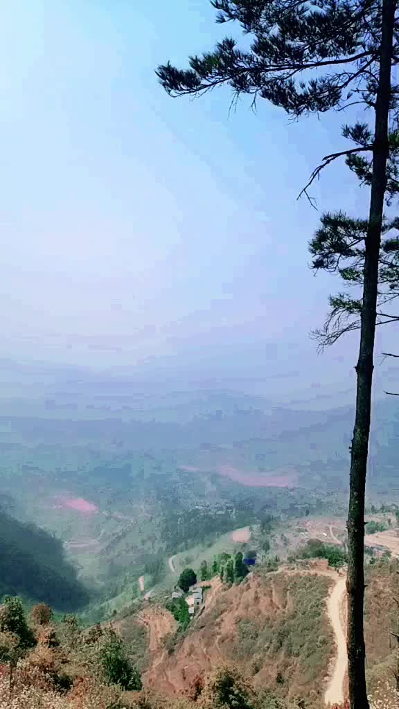 @Mushkan Lama
