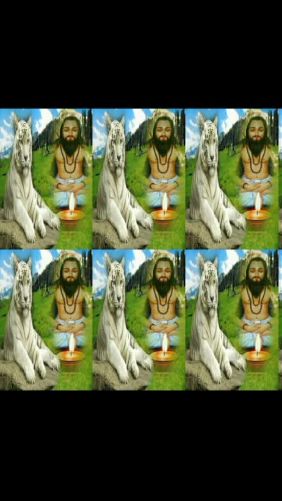 @😎 golubhai CG king?