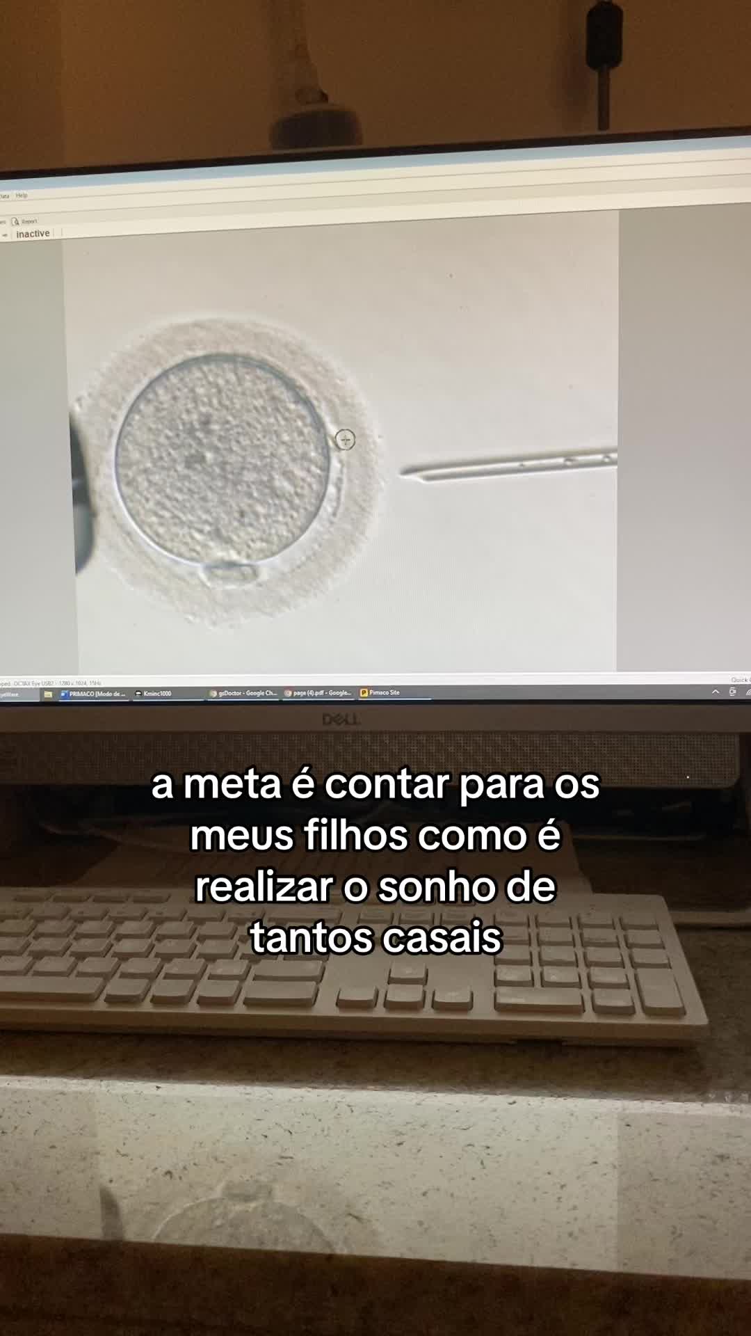 @Lai | Embriologista