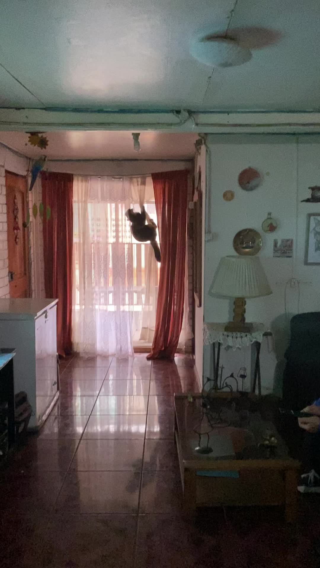 @Constanza Pezoa Miranda