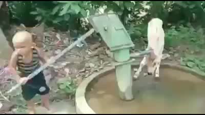 @original odia sayeri ROHIT 😍