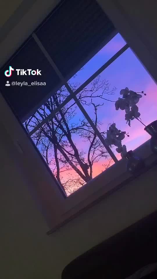 @𝐿𝑒𝓎𝓁𝒶 𝐸𝓁𝒾𝓈𝒶