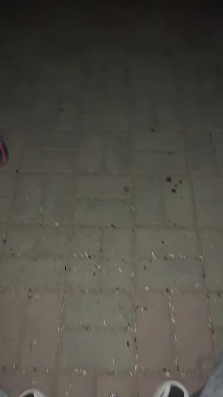 @mishka_151