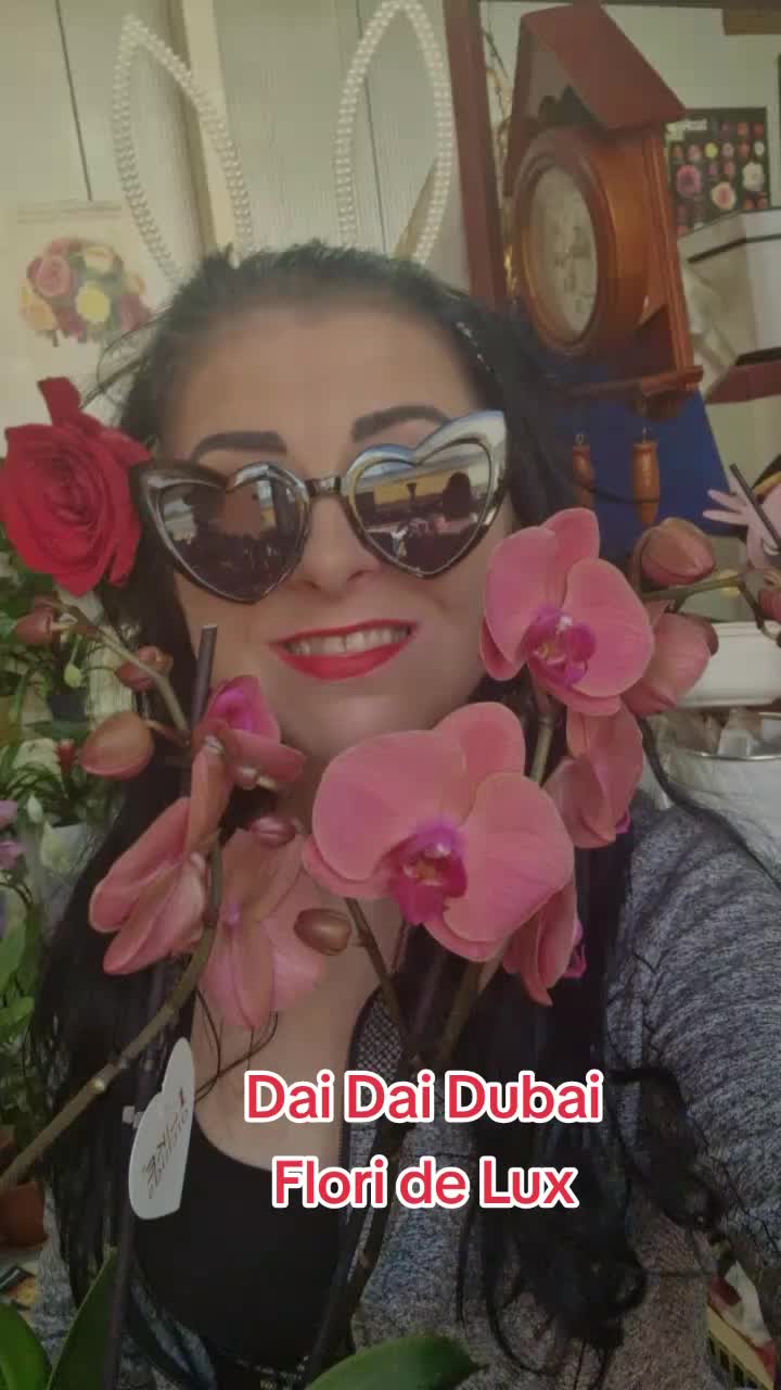 @Claudia Moldovan🌹🌴💐🪴🌷🪻🌻