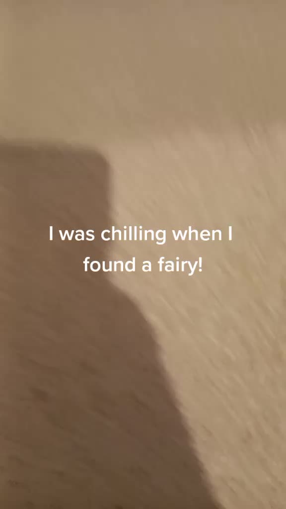 @Fairy Hunter