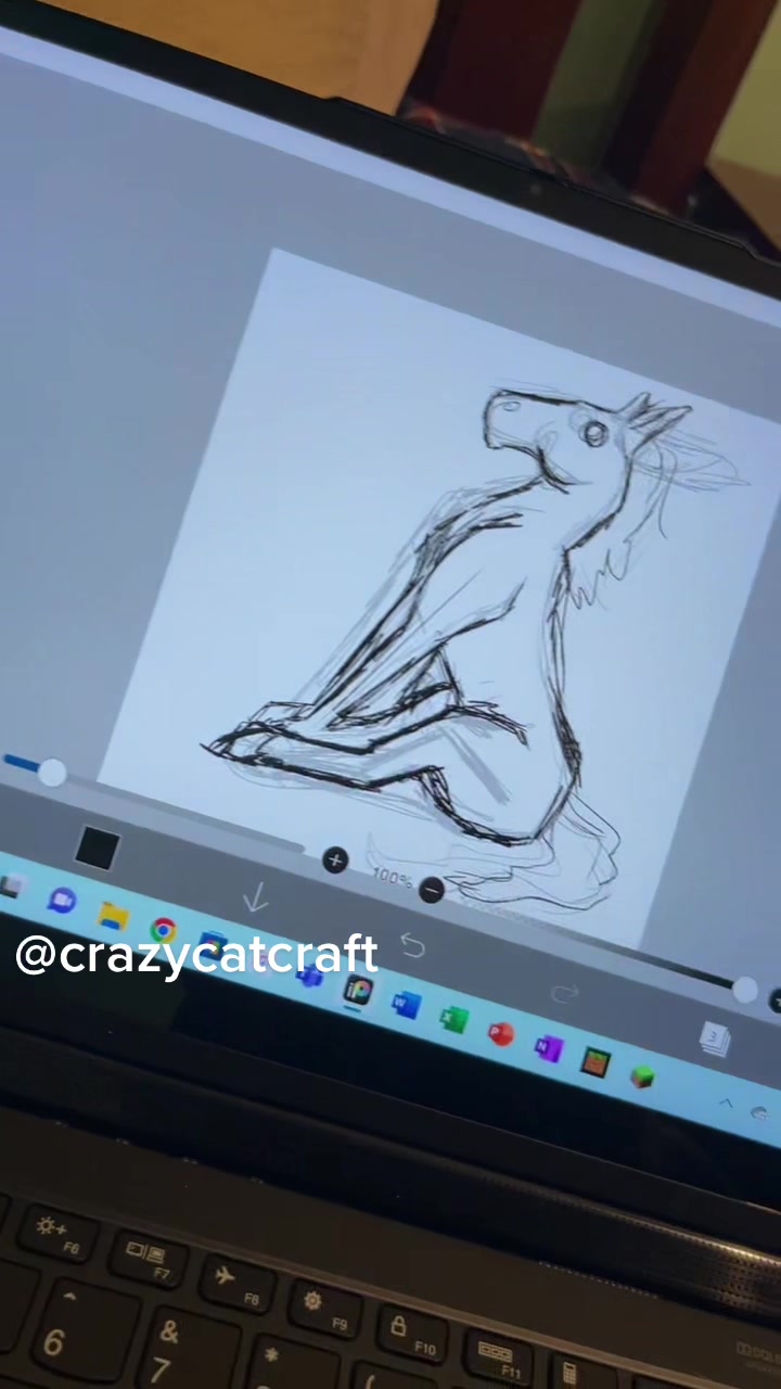 @CrazyCatCraft