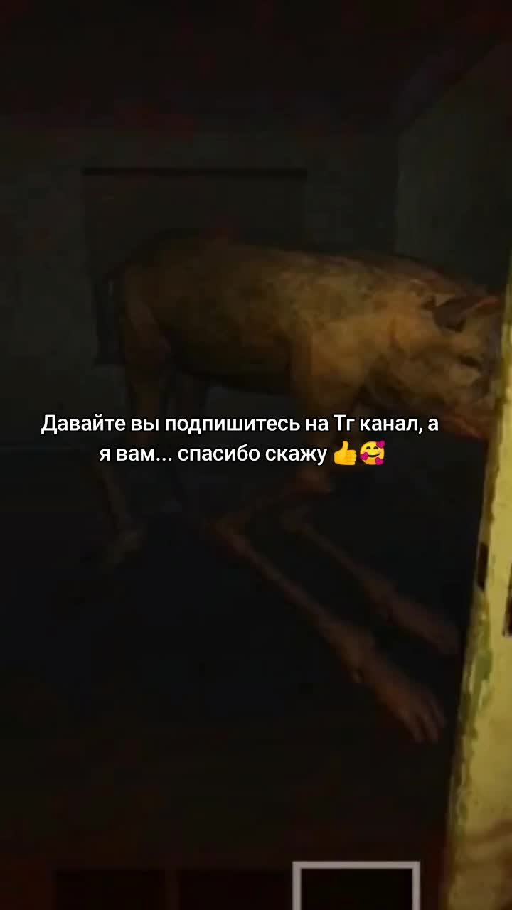 @Степан красные пупки🖼️🇩🇪