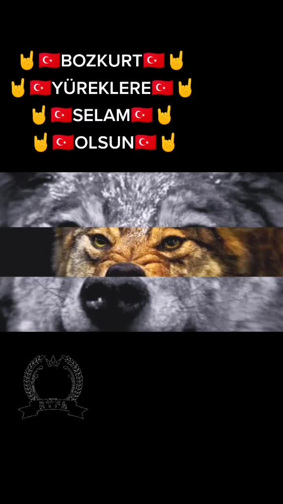 @cCc🇹🇷BOZKURT🇹🇷cCc