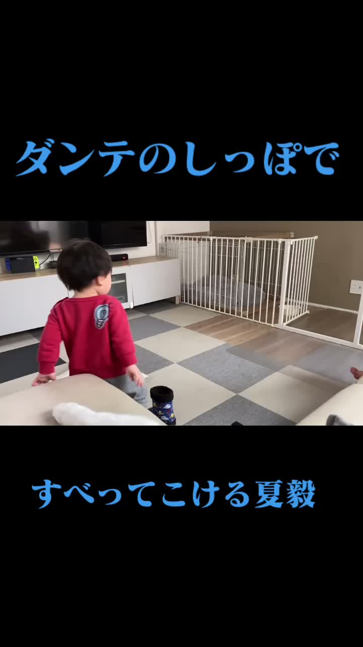 @S,T,K