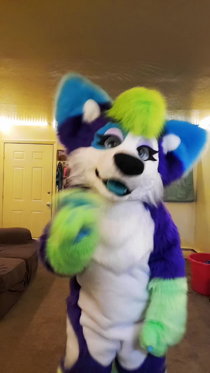 @Luna Husky