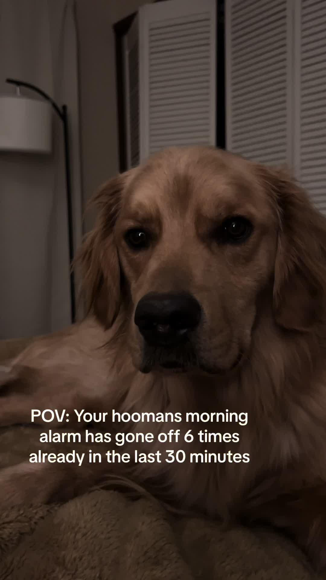 @George The Golden