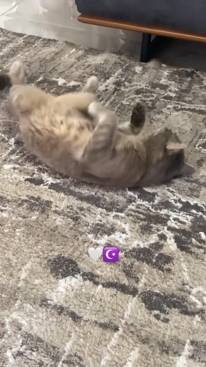 @e