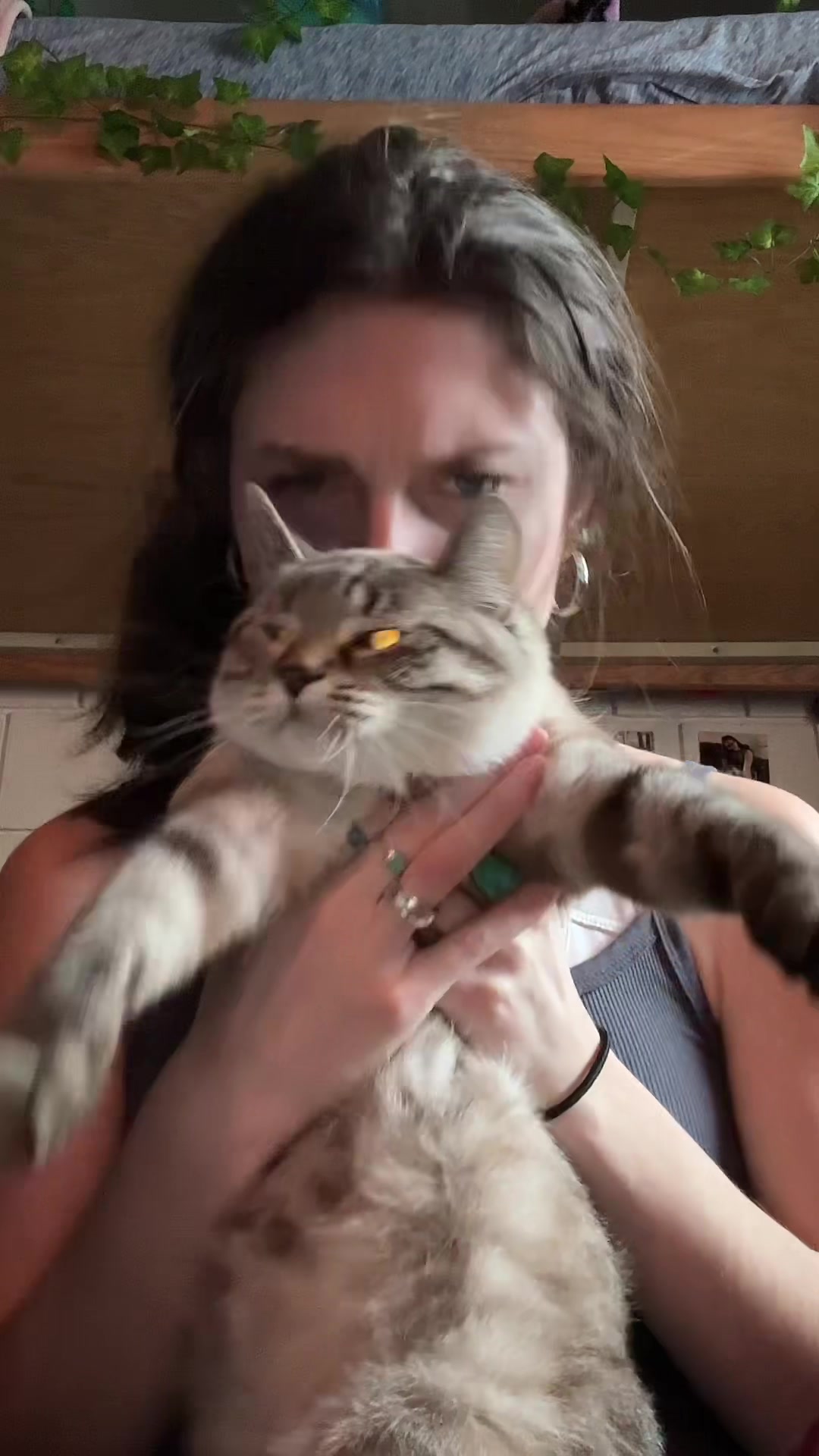 @willowthecollegecat