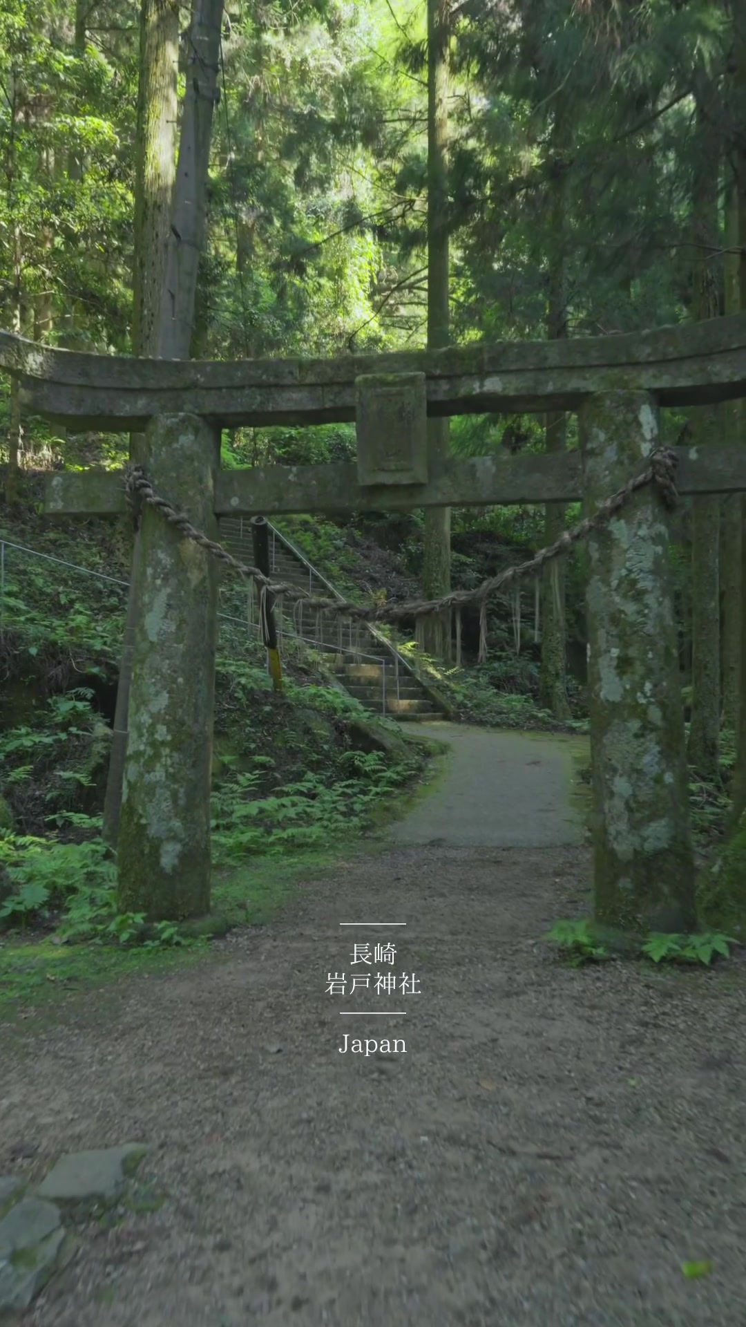 @Nature+Lofi