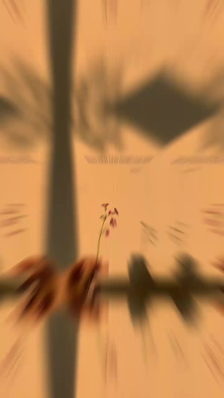 @۶۶𝛵℮𝜂ℌ𝛼 ۶۶