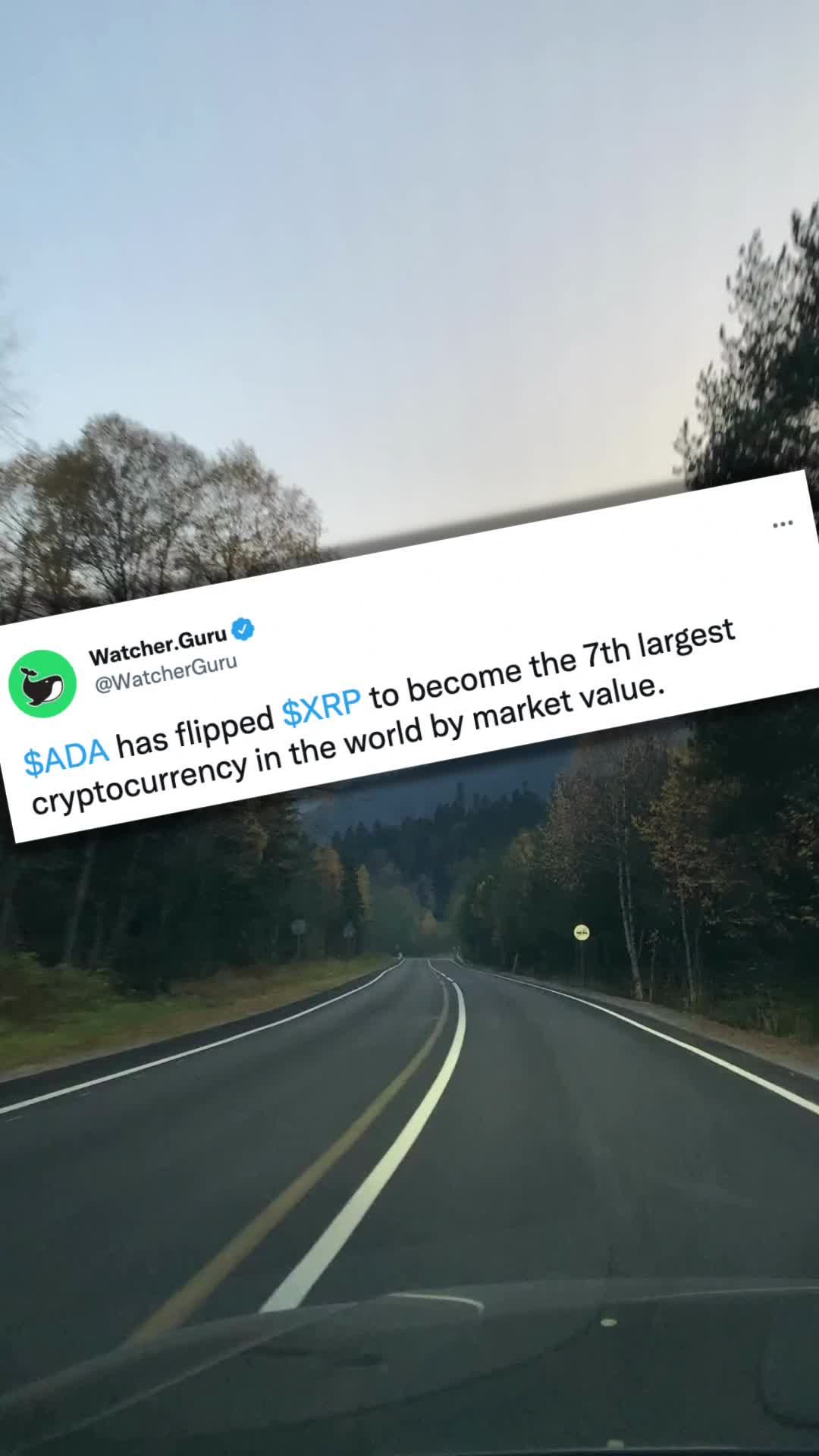 @Krystal Wallet