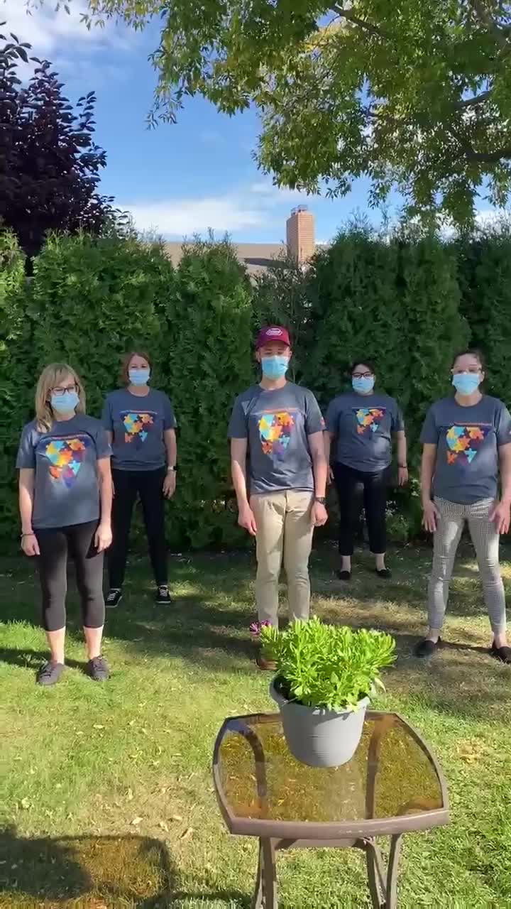 @harleyhempel