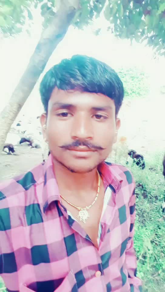 @Gelabhai J Gamara