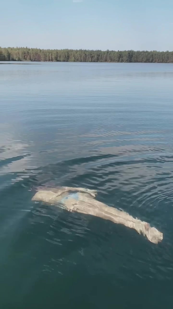 @Эва Милконская