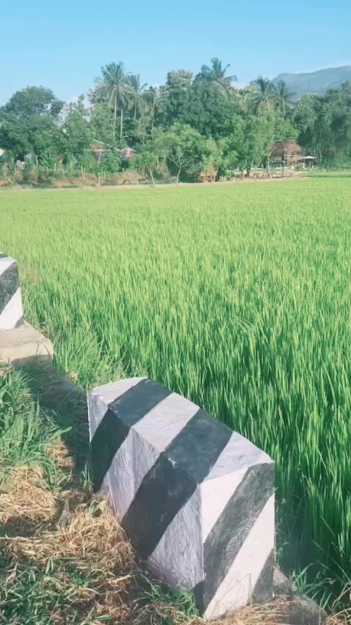 @shihabzzzz