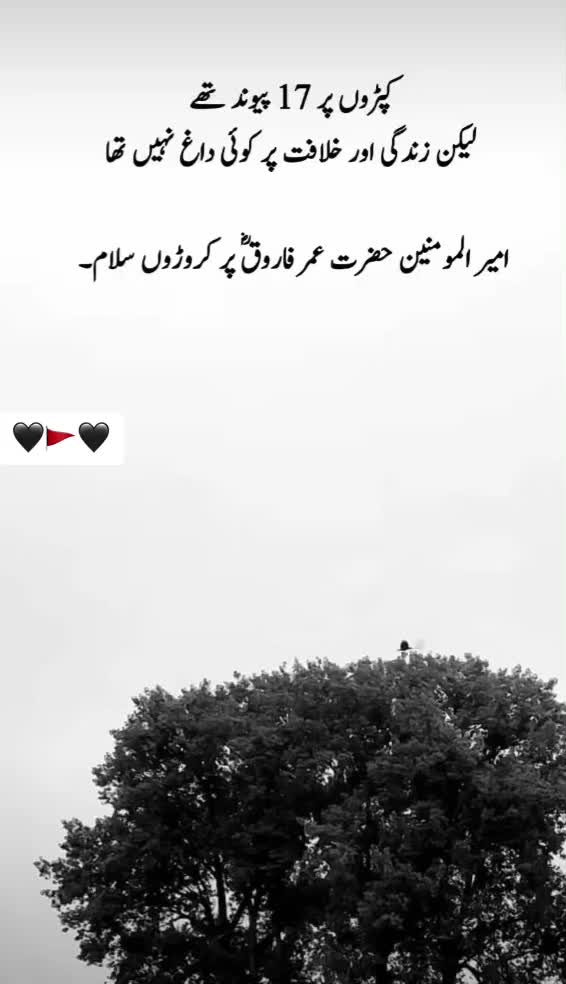 @اُردو شاعری🌸🥀