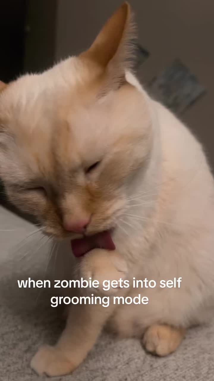 @zombers