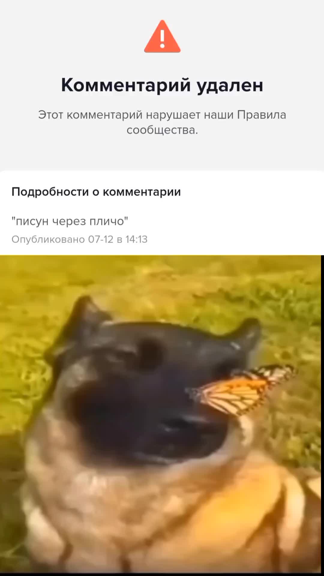 @TikTok🥏