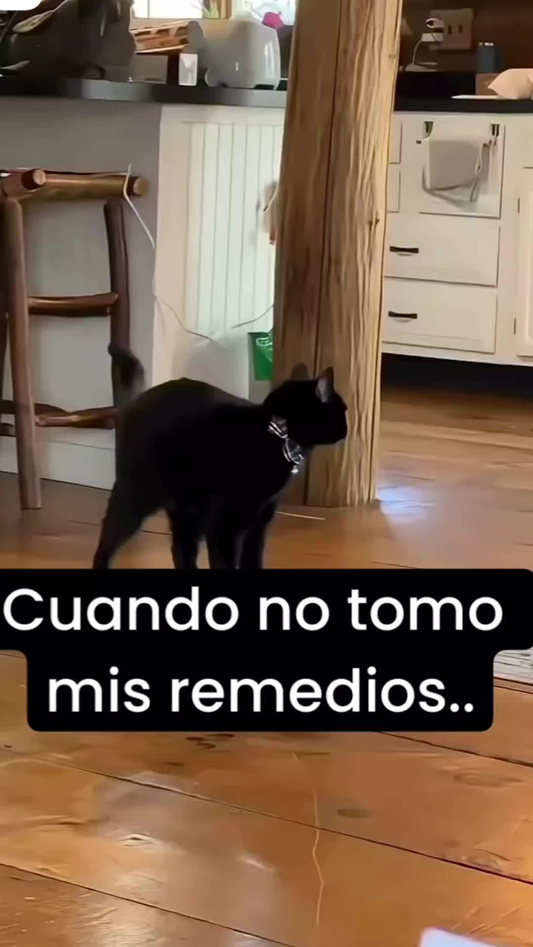 @cachonita