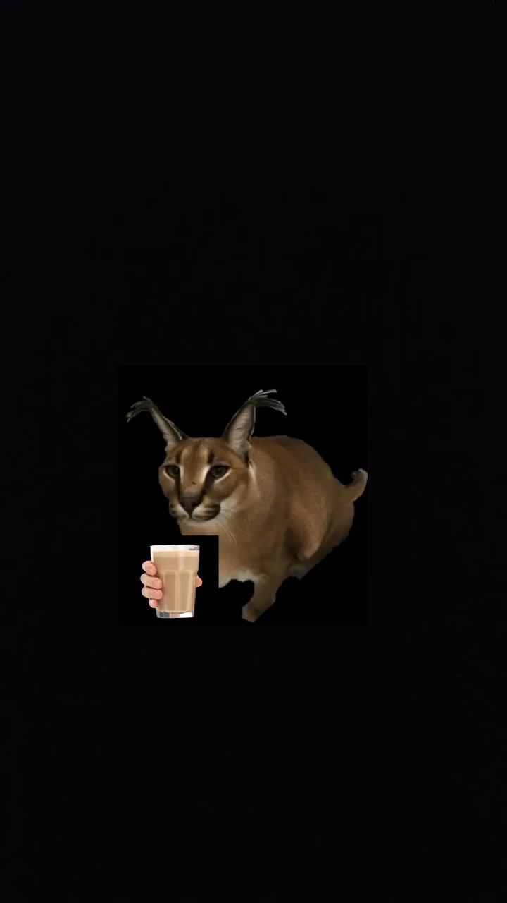 @𝙁𝙇𝙊𝙋𝙋𝘼_𝙈𝙀𝙈𝙀𝙍𝙊100