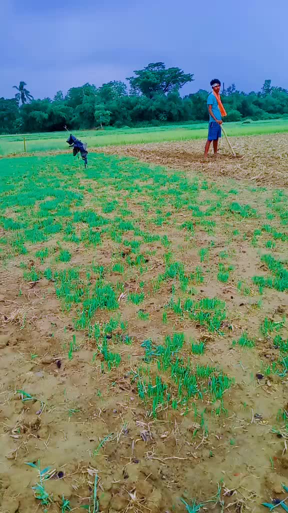 @Kumar Sanjaya