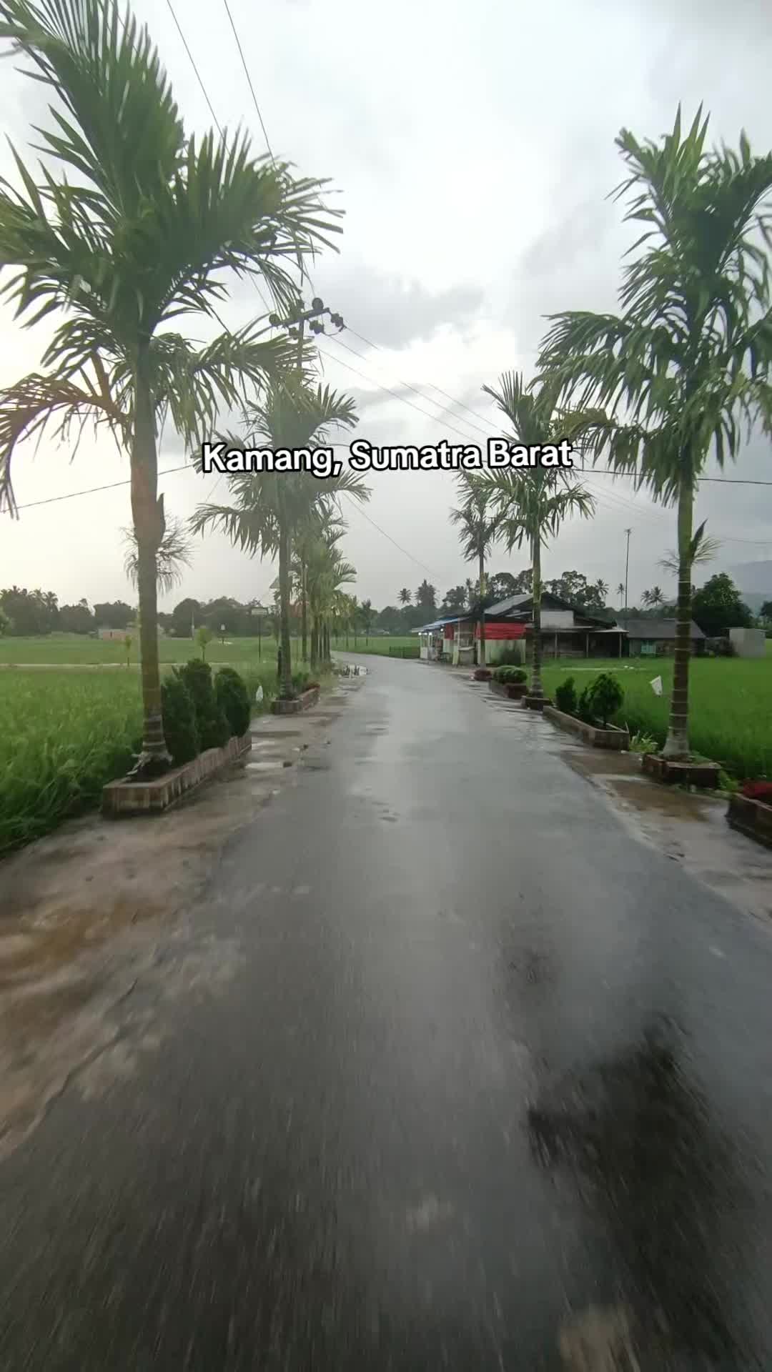 @Arif Wahyudi