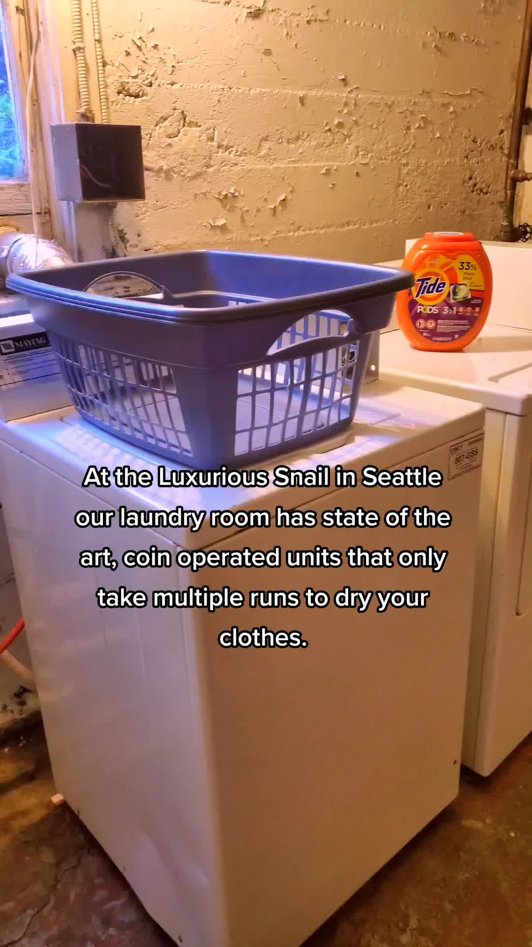 @The_Snail_Seattle