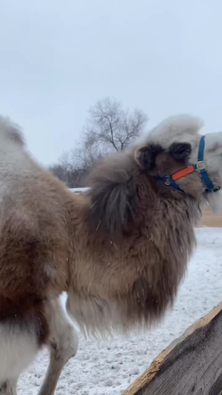 @А_нют_А🤪