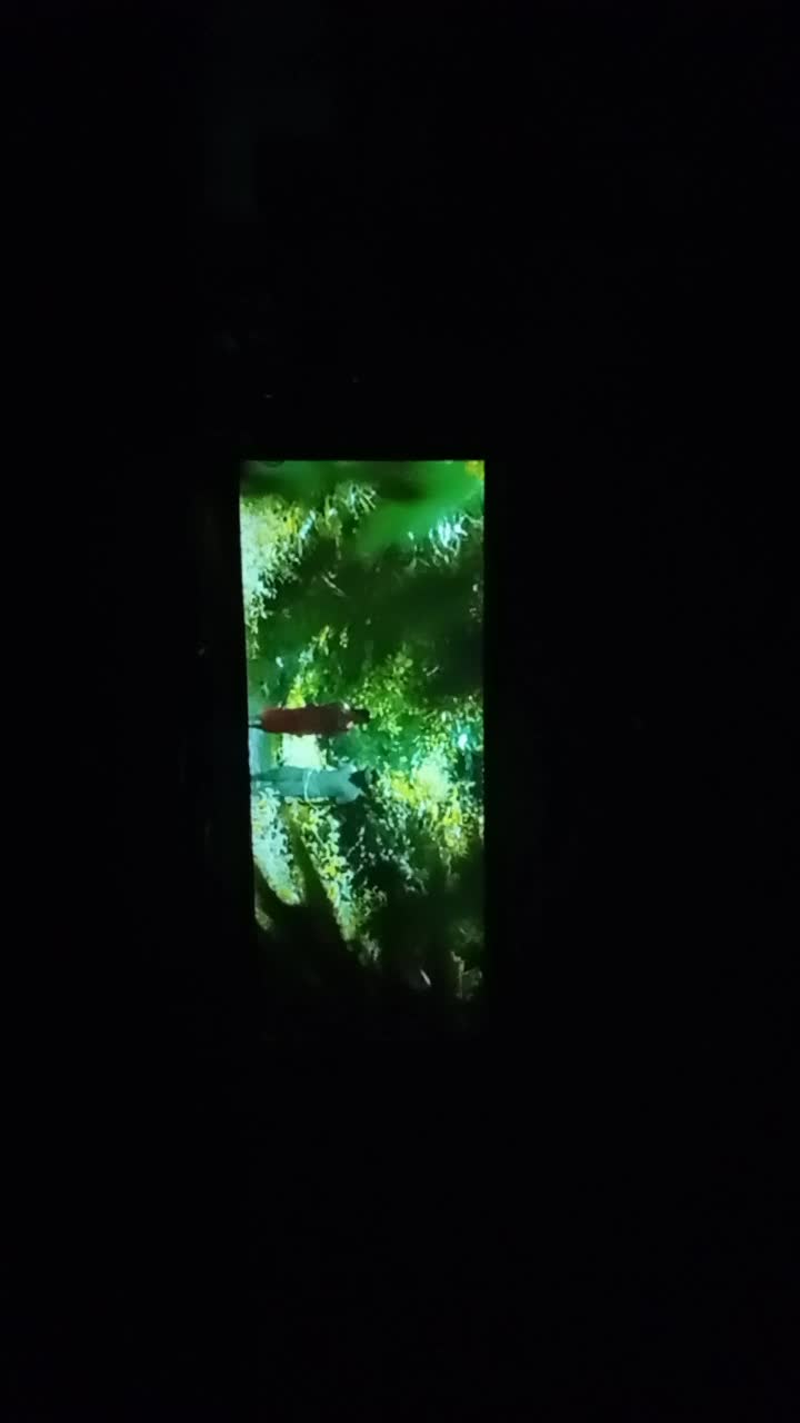 @user4971565948065