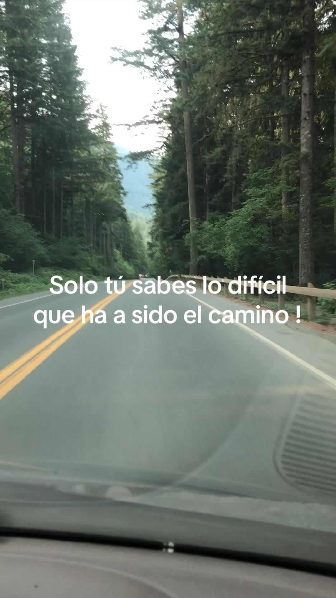 @josegutierrez2152