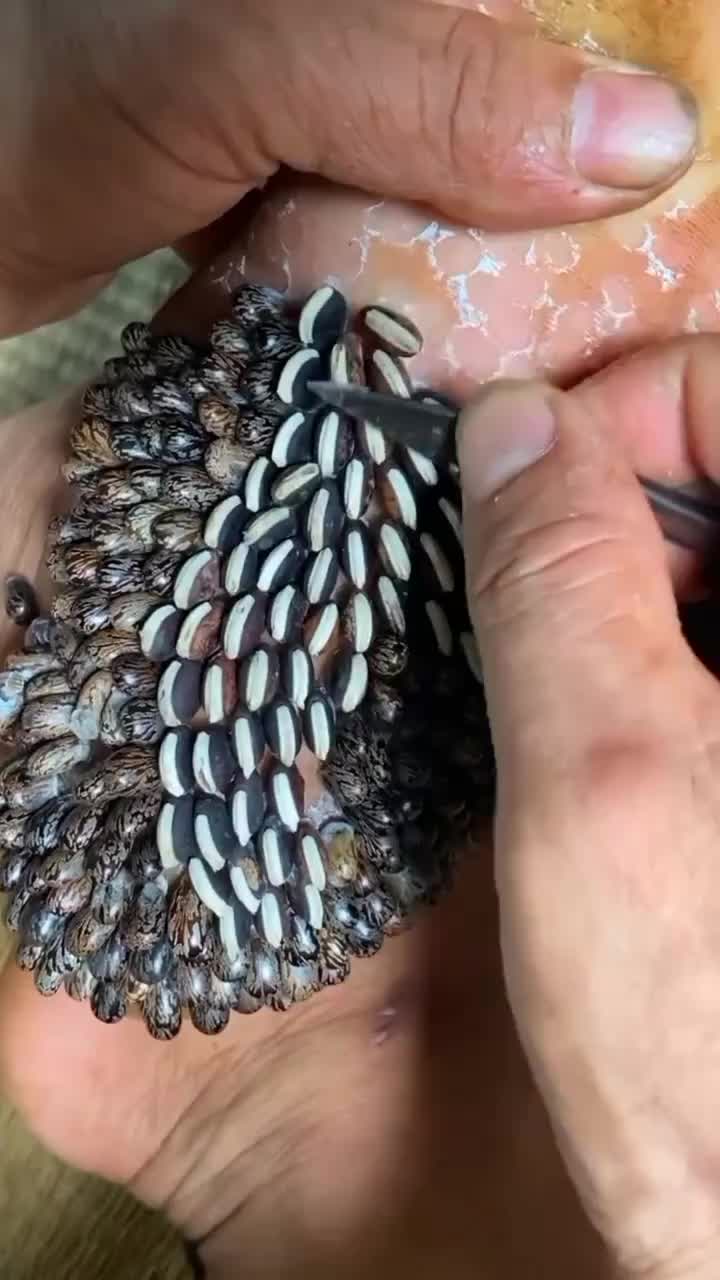@tickyouu