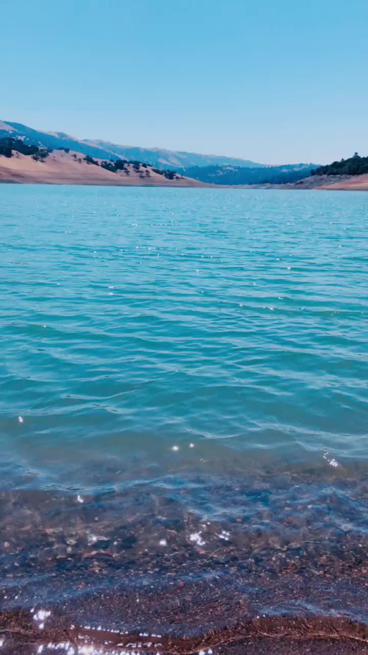 @amanda lee
